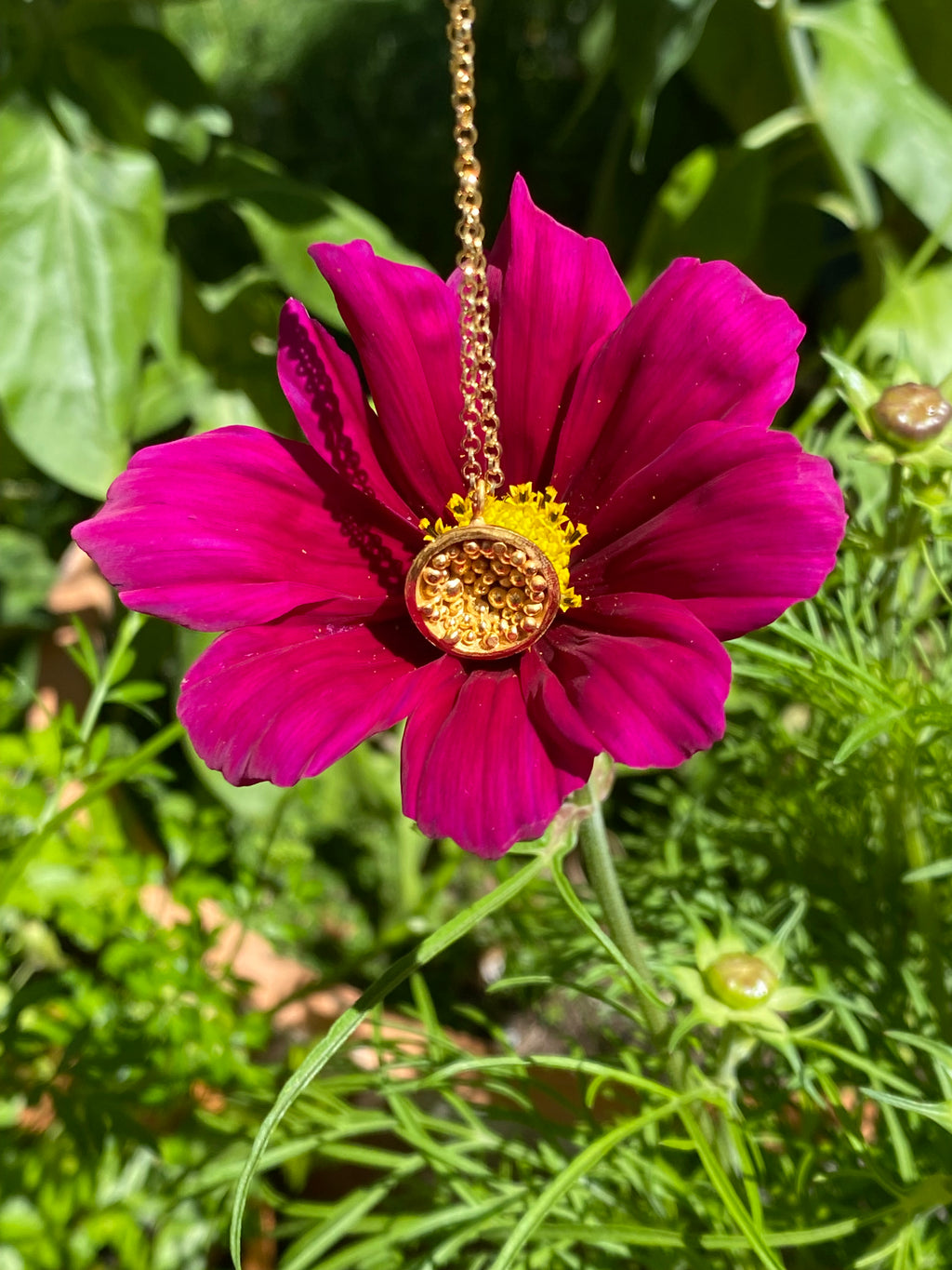 Colgante Cosmea II